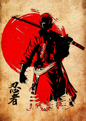 Roronoa zoro, One Piece