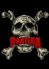 Pantera Skull