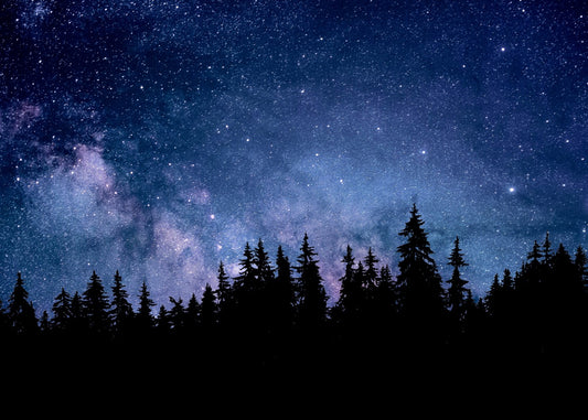 Starry Night Sky