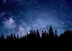 Starry Night Sky