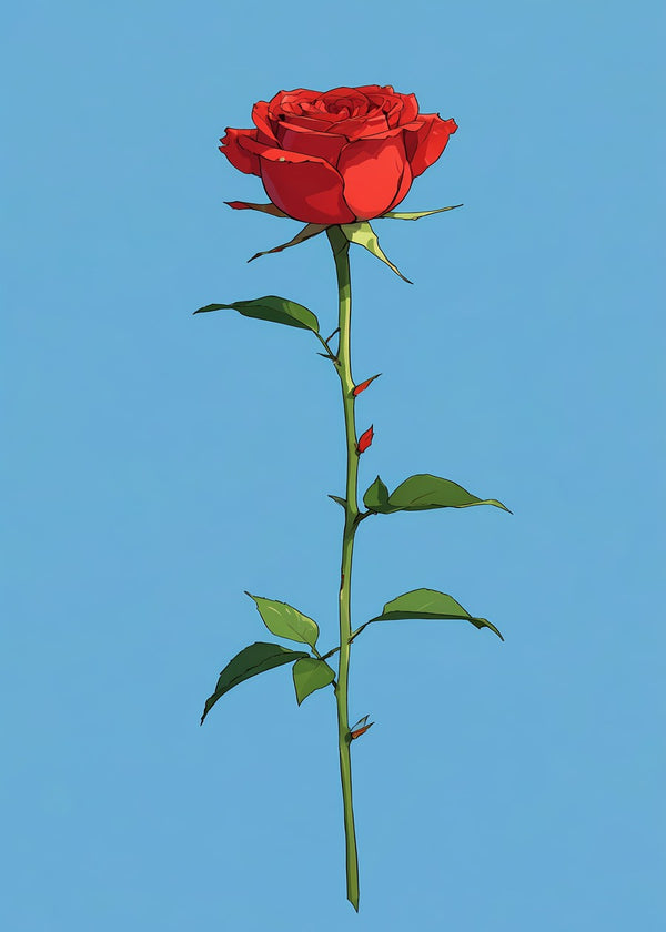 Beautiful Red Rose