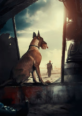 Fallout