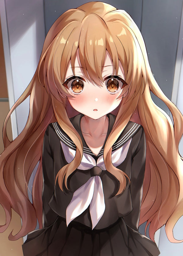 Taiga Aisaka, Toradora
