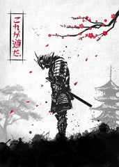 Samurai Warrior