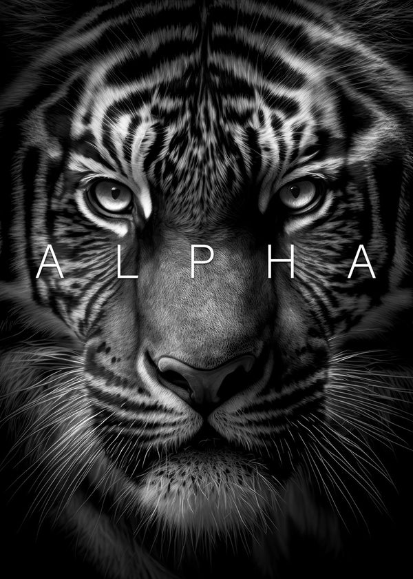 Wild tiger face alpha