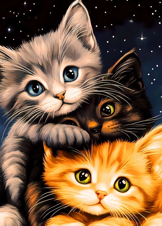 cats cat