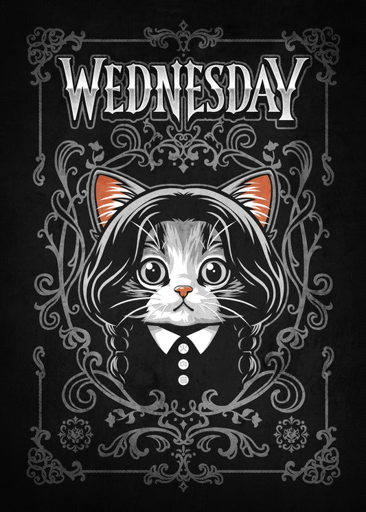Wednesday Cute Cat
