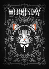 Wednesday Cute Cat