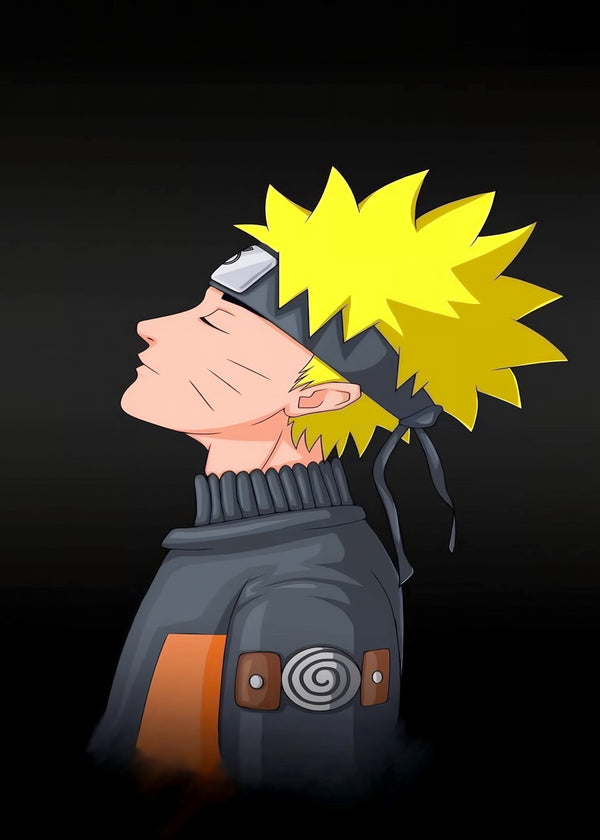 Naruto Shippuden Ninja’s Path