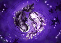Yin yang fish art