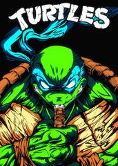 Leonardo ninja turtle