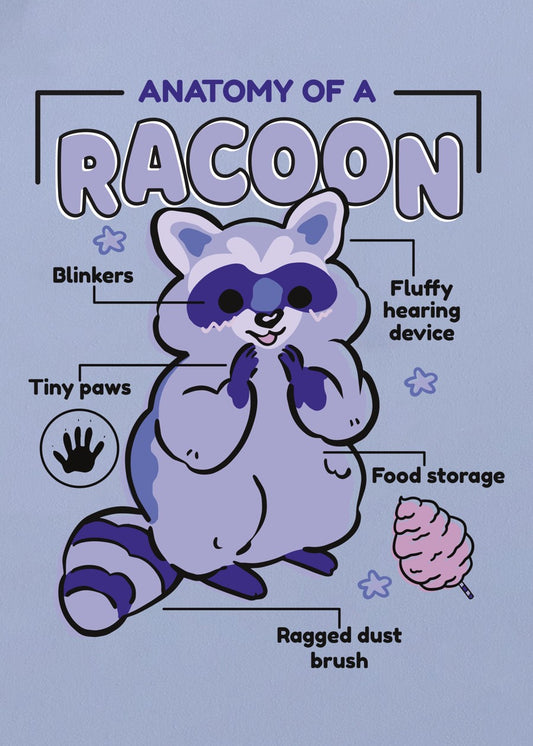 Cute Raccoon Anatomy