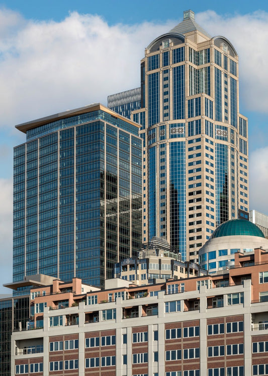 Brick Roots and Glass Dreams