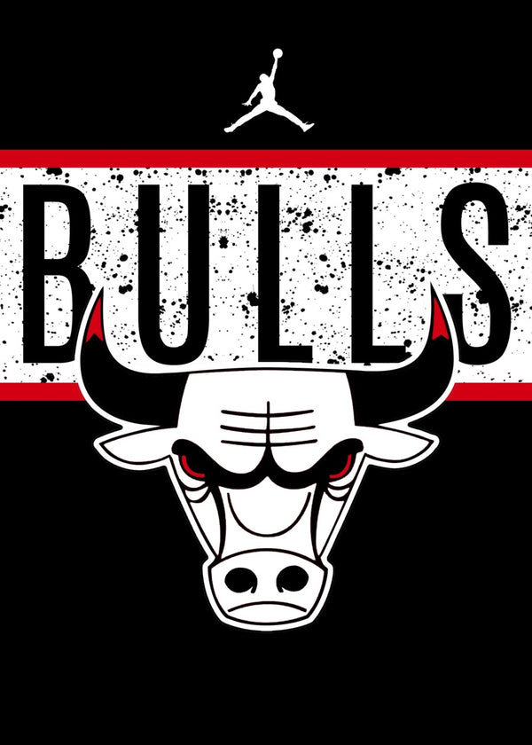 Chicago Bulls