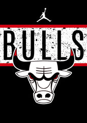Chicago Bulls 