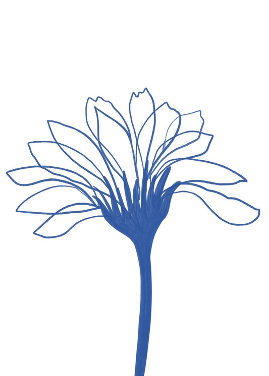 Blue Line Flower