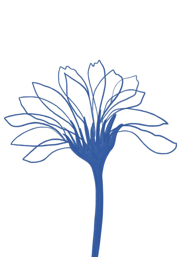 Blue Line Flower