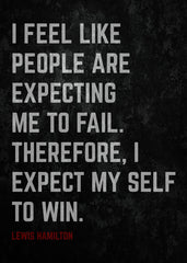 Lewis Hamilton Quotes