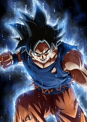 Saiyan, Dragonball