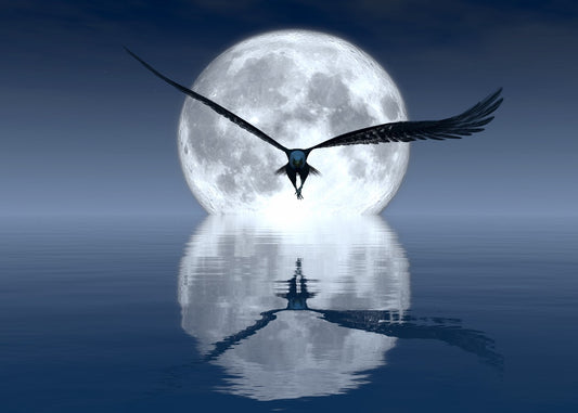 A flying eagle at night