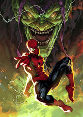 Spider Man Web of Heroes