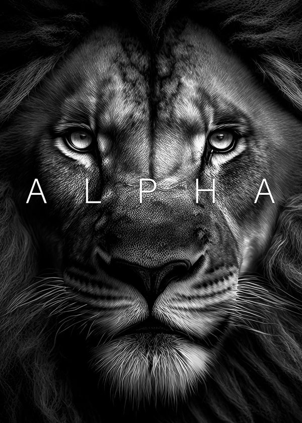 Black lion face alpha