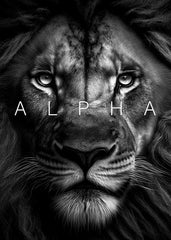 Black lion face alpha