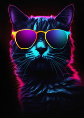 Cool sunglass Cat