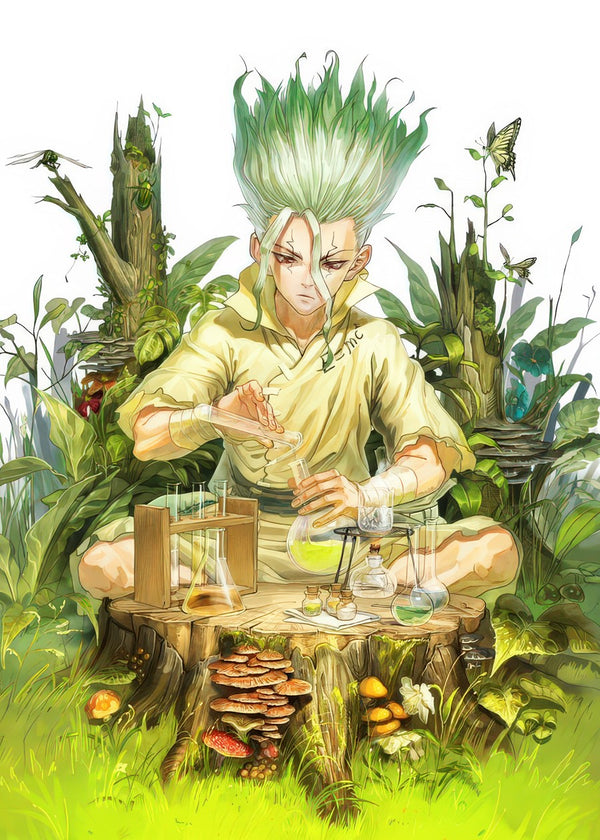 dr. stone