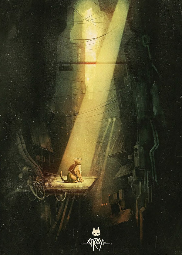 stray