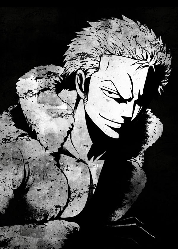 Roronoa Zoro, One Piece