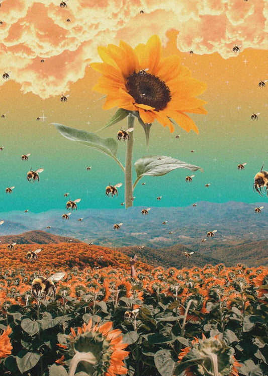 Tyler The Creator Flowers