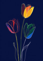 Three Different Colored Tulips