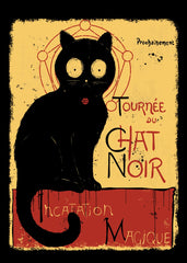 Chat Noir - Incatation Magique