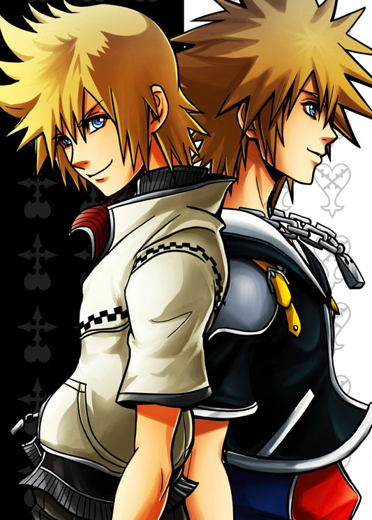 Roxas and Sora, Kingdom Hearts