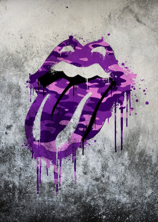 The Rolling Stones camouflage