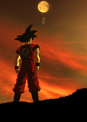 Dragon Ball Z