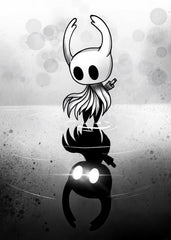 hollow knight