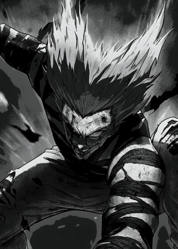 Garou, One Punch Man