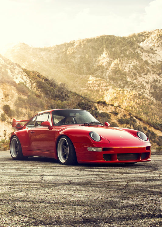 Gunther Werks 993