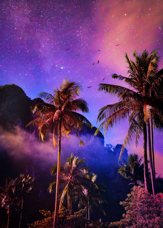 Dreamy Horizon 