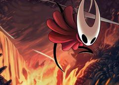 Hollow knight 