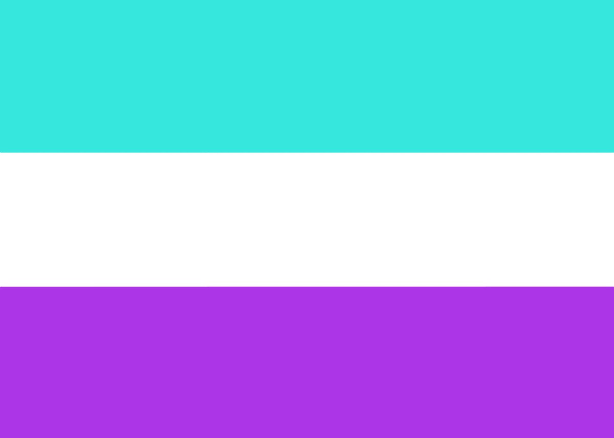 Aromantic Pride Flag