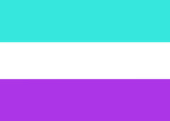 Aromantic Pride Flag