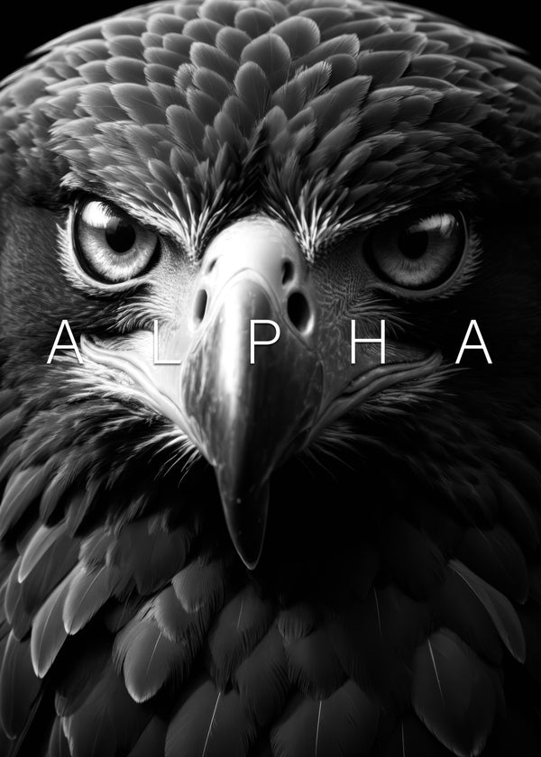 Alpha eagle wild black face