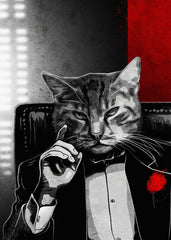 cat suits meme