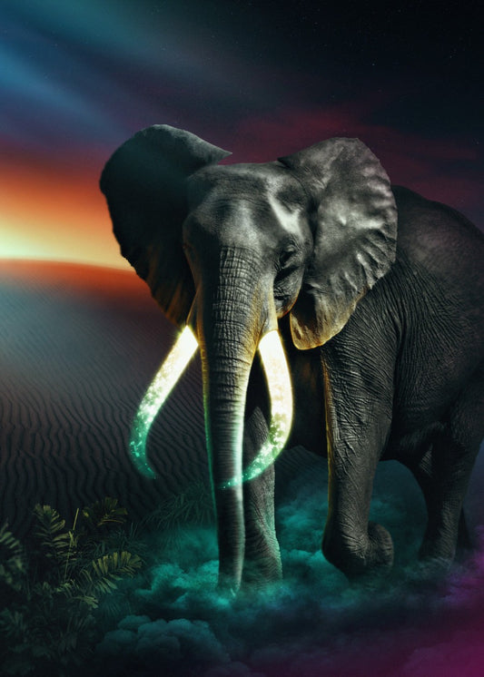 Desert Elephant 