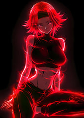 Kallen Stadtfeld, Code Geass: Lelouch of the Rebellion