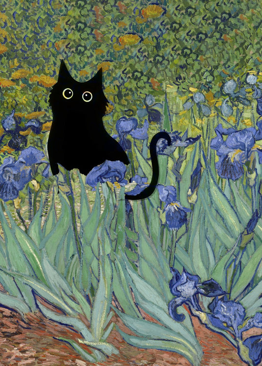 Black Cat Irises Flower