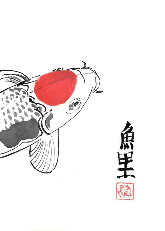 Carp koi